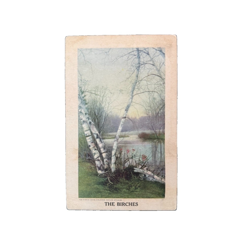 Vintage Early 1900s Post Card